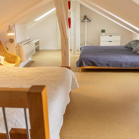 City Center Duplex Loft Colmar Kültér fotó