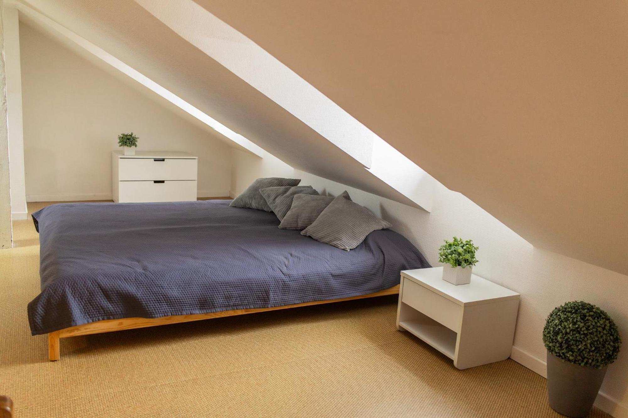 City Center Duplex Loft Colmar Kültér fotó